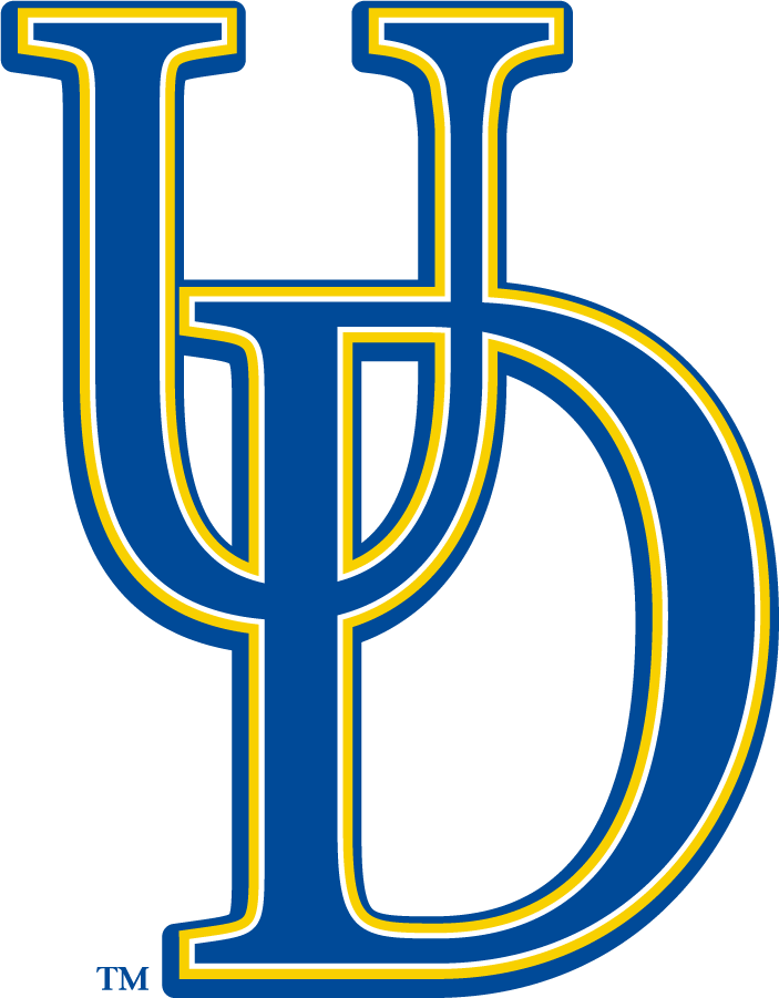Delaware Blue Hens 2009-2018 Secondary Logo v3 iron on transfers for T-shirts